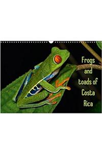 Frogs and Toads of Costa Rica / UK-Version 2018