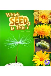 Nature Starts Which Seed is This?