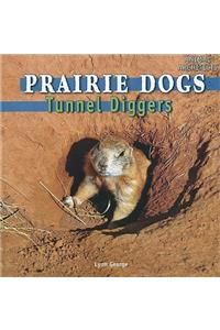 Prairie Dogs