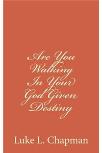Are You Walking In Your God Given Destiny