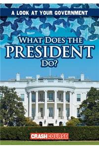 What Does the President Do?