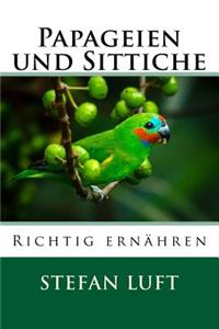 Papageien und Sittiche richtig ernähren