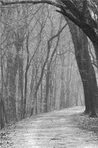 Mind Blowing Haunted Path JOurnal