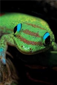 Gecko Notebook & Journal. Productivity Work Planner & Idea Notepad