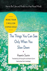 Things You Can See Only When You Slow Down Lib/E