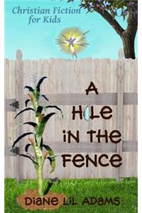 A Hole in the Fence