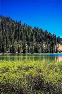 A View of Todd Lake Oregon USA Journal