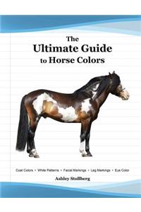 The Ultimate Guide to Horse Colors