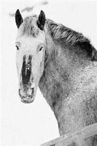 Winter Theme Journal Horses In Snow