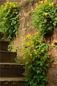 Overgrown Stairs Journal