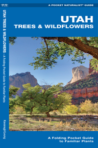 Utah Trees & Wildflowers: A Folding Pocket Guide to Familiar Plants