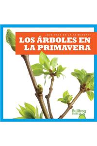 Los Árboles En La Primavera (Trees in Spring)