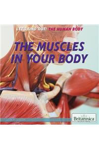 The Muscles in Your Body
