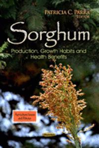 Sorghum