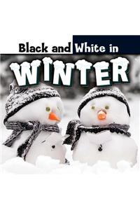 Black and White in Winter