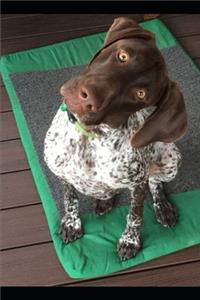 Zara the Geeper's 2019 Dog Blog