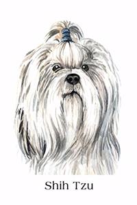 Shih Tzu