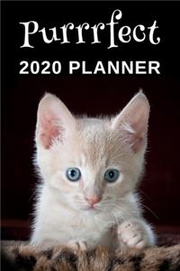 Purrrfect