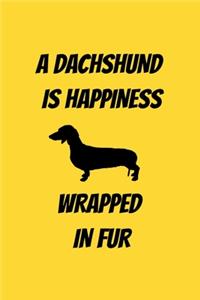 A Dachshund Is Happiness Wrapped in Fur