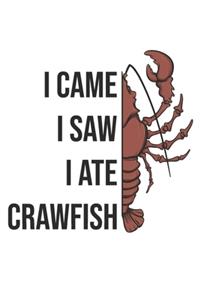 I Came I Saw I Ate Crawfish