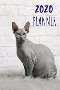 Planner 2020