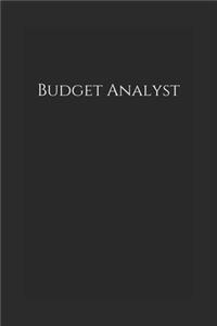 Budget Analyst