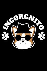 Incorgnito