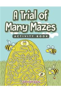 Trial of Many Mazes Activity Book