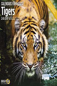 TIGERS WALL CALENDAR 2020