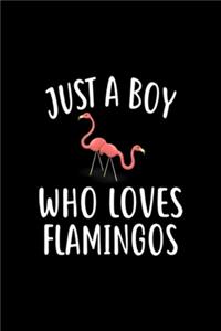 Just A Boy who loves FLAMINGOS