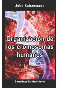 Organización de los cromosomas humanos