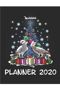 Planner 2020