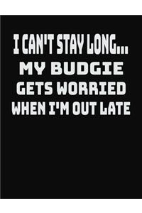 I Can't Stay Long... My Budgie Gets Worried When I'm Out Late