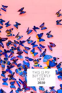 This Is My Butterfly Year