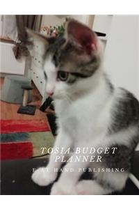 Tosia Budget Planner