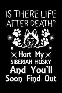 Is There Life After Death Hurt My Siberian Husky And You'll Soon Find Out