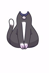 Cat Notebook
