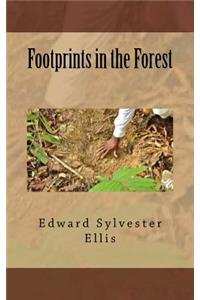 Footprints in the Forest