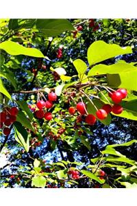 School Composition Book Bright Red Berries Fall Branches 130 Pages