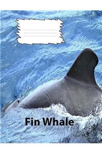 Fin Whales Wide Ruled Line paper Composition Book