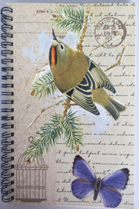 A5 Spiral Notebook - Goldcrest