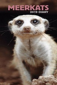 MEERKATS SLIM D 2019