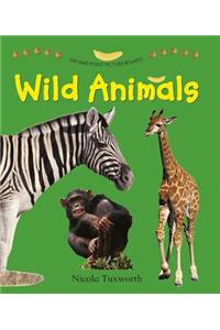 Say and Point Picture Book