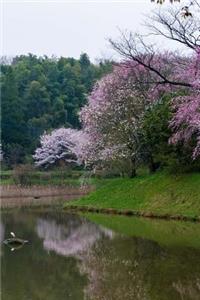 Cherry Trees Full of Blossoms on a Lake in Japan Journal