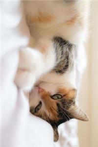 A Cat Napping on a White Down Blanket Journal