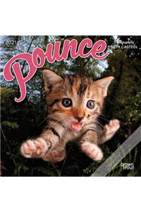 Pounce 2021 Mini 7x7