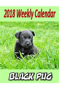 2018 Weekly Calendar Black Pug