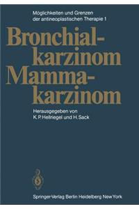 Möglichkeiten Und Grenzen Der Antineoplastischen Therapie