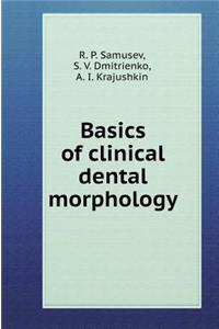 Basics of Clinical Dental Morphology