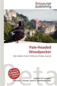 Pale-Headed Woodpecker